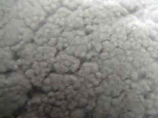 供應(yīng)天津耐火纖維,天津礦物纖維廠家_冶金礦產(chǎn)_世界工廠網(wǎng)中國產(chǎn)品信息庫